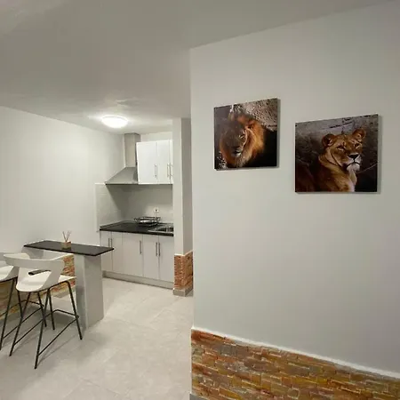 Rio Playa 8151 Apartment *